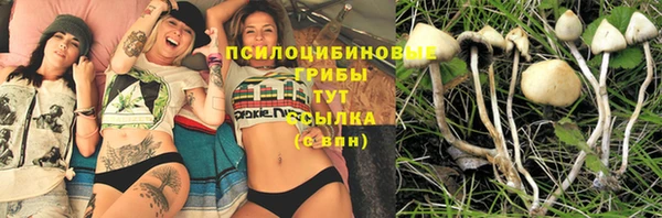 твердый Алзамай